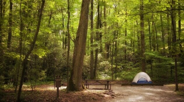 BMW of Owings Mills photo of camping spot